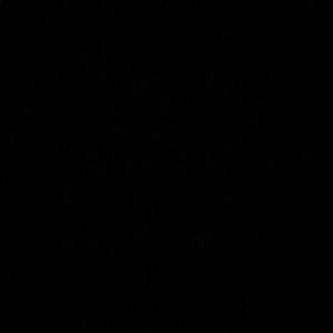 Meet your Posher, Valentina